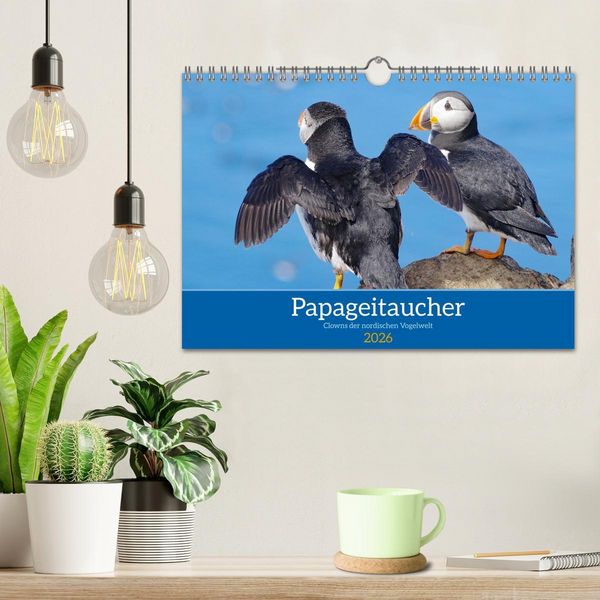 Produktbild: Papageitaucher - Clowns der nordischen Vogelwelt (Wandkalender 2026 DIN A4 quer), CALVENDO Monatskalender