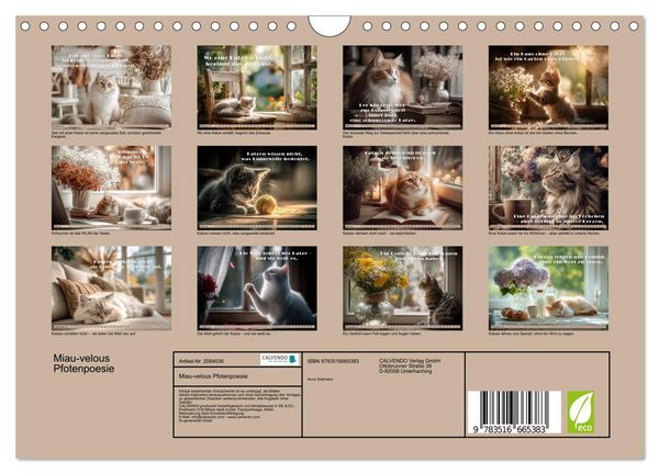 Produktbild: Miau-velous Pfotenpoesie (Wandkalender 2026 DIN A4 quer), CALVENDO Monatskalender