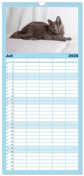 Produktbild: Familienplaner 2026 - Nebelung Katzen mit 5 Spalten (Wandkalender, 21 x 45 cm) CALVENDO