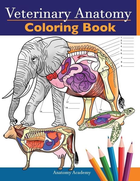 Produktbild: Veterinary Anatomy Coloring Book