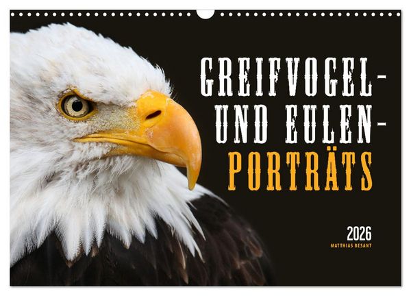 GREIFVOGEL- UND EULENPORTRÄTS (Wandkalender 2026 DIN A3 quer), CALVENDO Monatskalender