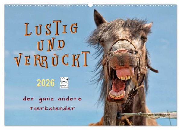 Produktbild: Lustig und verr&uuml;ckt - der ganz andere Tierkalender (Wandkalender 2026 DIN A2 quer), CALVENDO Monatskalender
