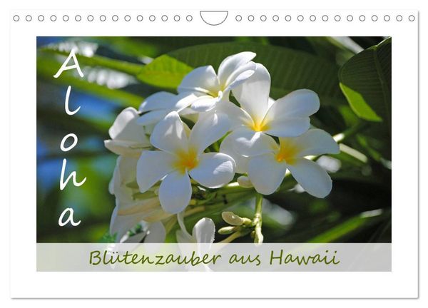 Produktbild: Aloha Bl&uuml;tenzauber aus Hawaii (Wandkalender 2026 DIN A4 quer), CALVENDO Monatskalender