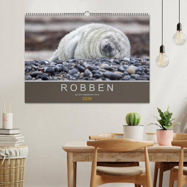 Produktbild: Robben auf der Helgol&auml;nder D&uuml;ne (Wandkalender 2026 DIN A2 quer), CALVENDO Monatskalender