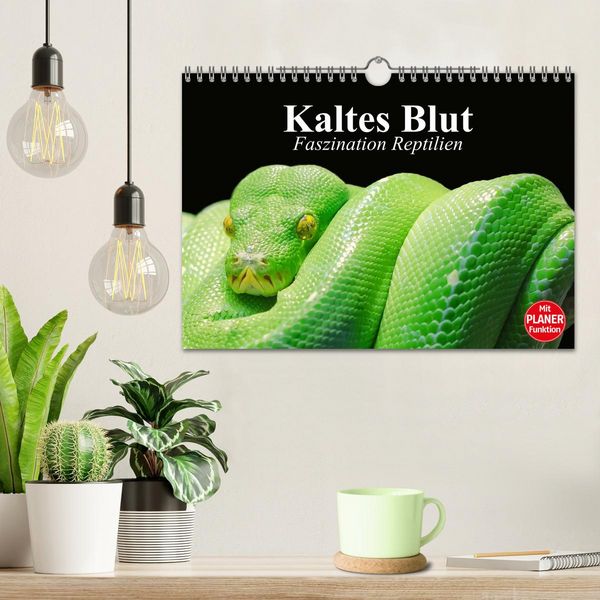 Produktbild: Kaltes Blut. Faszination Reptilien (Wandkalender 2026 DIN A4 quer), CALVENDO Monatskalender