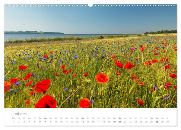 Produktbild: R&uuml;gen ein Sommertraum (hochwertiger Premium Wandkalender 2026 DIN A2 quer), Kunstdruck in Hochglanz
