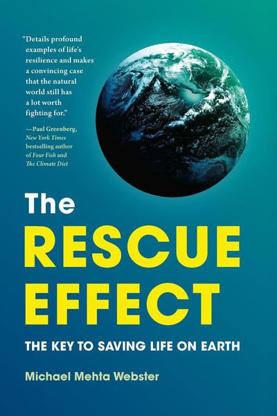 Produktbild: The Rescue Effect
