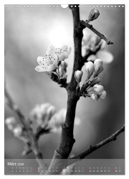 Produktbild: Monochrome Bl&uuml;ten - In Schwarz-Wei&szlig; Bildern durch das Jahr (Wandkalender 2026 DIN A3 hoch), CALVENDO Monatskalender
