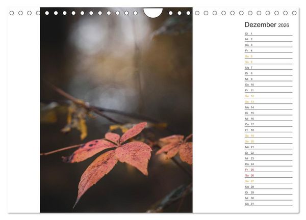 Produktbild: Kleine Wunder vor der Haust&uuml;r (Wandkalender 2026 DIN A4 quer), CALVENDO Monatskalender