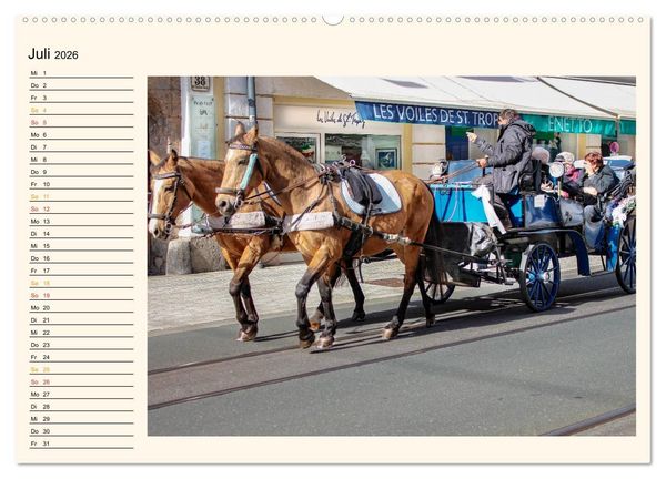 Produktbild: Pferdekutschen - Vorg&auml;nger des Automobils (Wandkalender 2026 DIN A2 quer), CALVENDO Monatskalender
