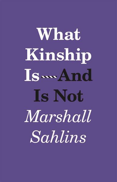 Produktbild: Sahlins, M: What Kinship is - and is Not