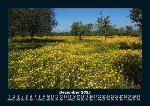 Produktbild: Blumenkalender 2025 Fotokalender DIN A5