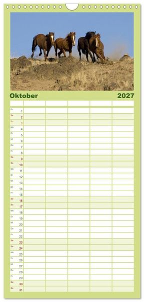Produktbild: Familienplaner 2027 - Wilde Pferde &bull; Mustangs in USA mit 5 Spalten (Wandkalender, 21 x 45 cm) CALVENDO