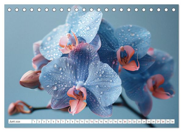 Produktbild: Orchideen - farbenfroh durchs Jahr (Tischkalender 2026 DIN A5 quer), CALVENDO Monatskalender