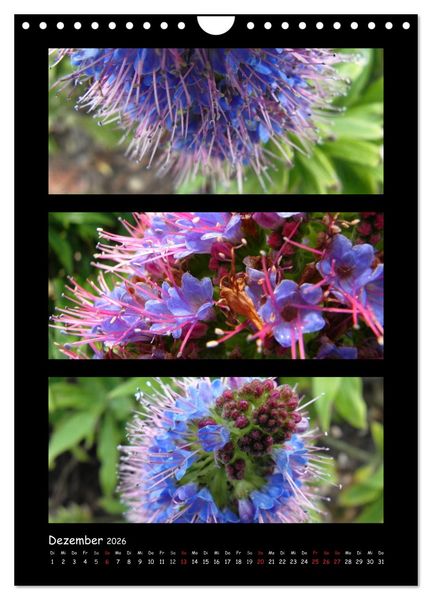 Produktbild: ZAUBERWELT DER BLUMEN - EISKRISTALLE & WASSERPERLEN (Wandkalender 2026 DIN A4 hoch), CALVENDO Monatskalender