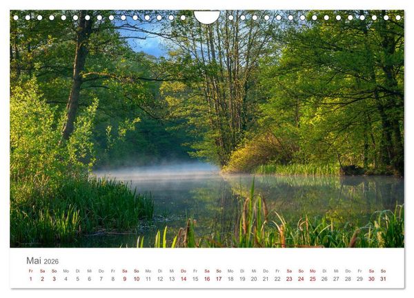 Produktbild: Spreewald - Ein Naturparadies (Wandkalender 2026 DIN A4 quer), CALVENDO Monatskalender
