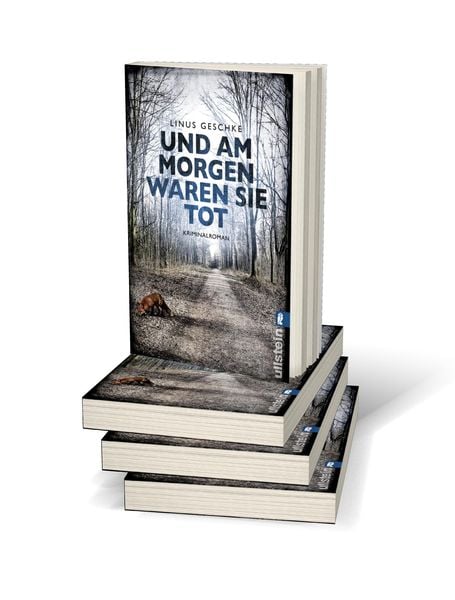 Produktbild: Und am Morgen waren sie tot / Jan Römer Band 2