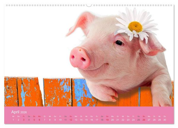 Produktbild: S&uuml;&szlig;e Tier-Babys! (hochwertiger Premium Wandkalender 2026 DIN A2 quer), Kunstdruck in Hochglanz