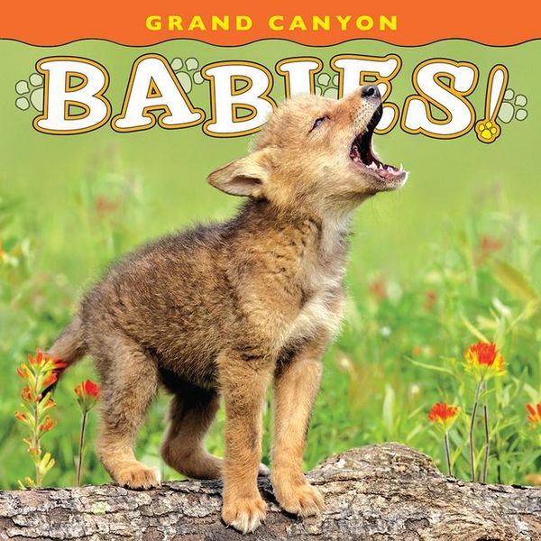 Produktbild: Grand Canyon Babies!
