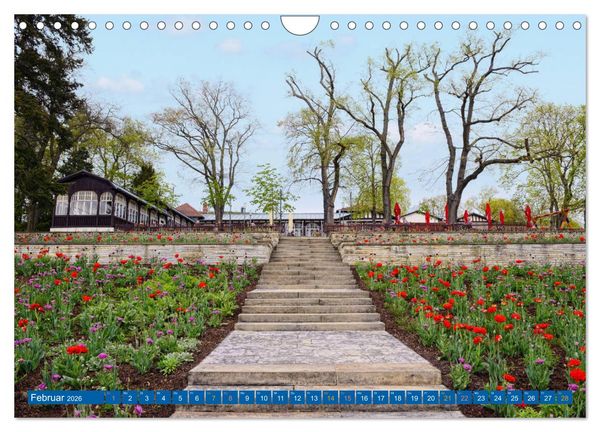 Produktbild: Brandenburg an der Havel - Stadt der Flussarme, Kan&auml;le und Inseln (Wandkalender 2026 DIN A4 quer), CALVENDO Monatskalender