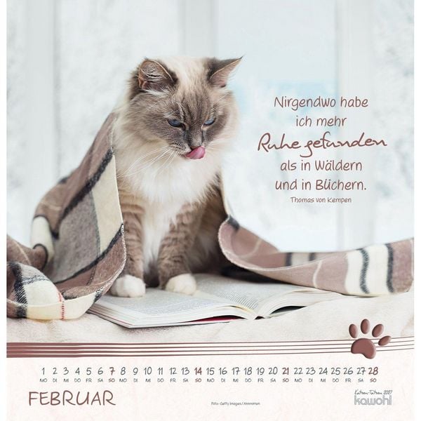 Produktbild: Katzen-Tatzen 2027
