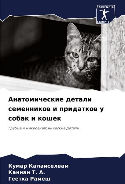 Produktbild: Anatomicheskie detali semennikow i pridatkow u sobak i koshek