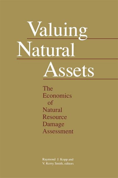 Produktbild: Valuing Natural Assets