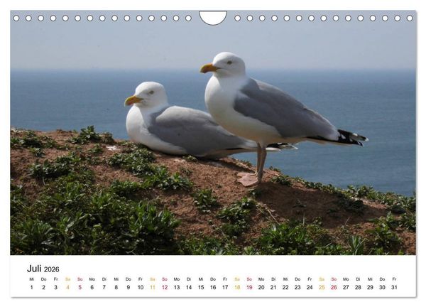 Produktbild: Helgoland Kalender (Wandkalender 2026 DIN A4 quer), CALVENDO Monatskalender