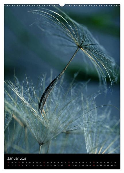 Produktbild: Kunst in der Natur (Wandkalender 2026 DIN A2 hoch), CALVENDO Monatskalender