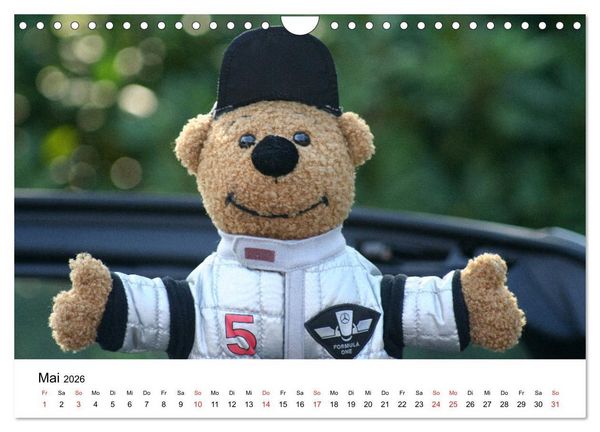 Produktbild: Teddys...jeder liebt sie (Wandkalender 2026 DIN A4 quer), CALVENDO Monatskalender