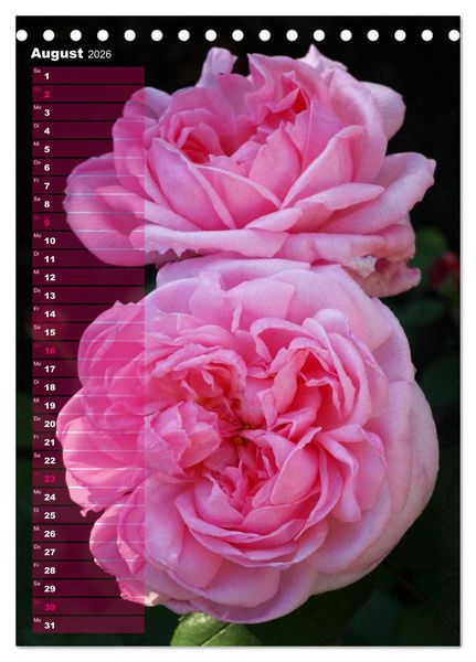 Produktbild: Rosen f&uuml;r DICH / Geburtstagskalender (Tischkalender 2026 DIN A5 hoch), CALVENDO Monatskalender