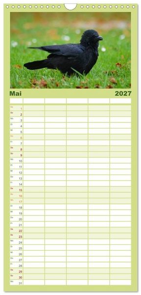 Produktbild: Familienplaner 2027 - Das Leben der Rabenv&ouml;gel mit 5 Spalten (Wandkalender, 21 x 45 cm) CALVENDO