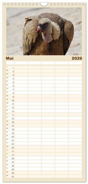 Produktbild: Familienplaner 2026 - Geier - die Gesundheitspolizei! mit 5 Spalten (Wandkalender, 21 x 45 cm) CALVENDO