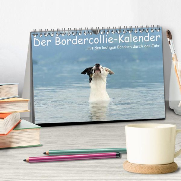 Produktbild: Der Bordercollie-Kalender (Tischkalender 2026 DIN A5 quer), CALVENDO Monatskalender
