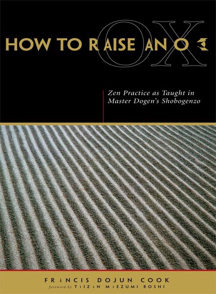 Produktbild: How to Raise an Ox
