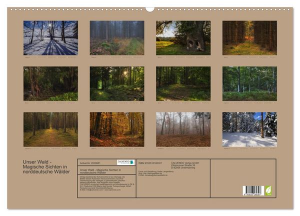 Produktbild: Unser Wald - Magische Sichten in norddeutsche W&auml;lder (Wandkalender 2026 DIN A2 quer), CALVENDO Monatskalender