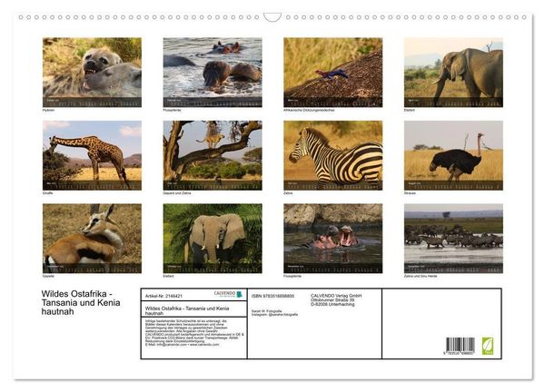 Produktbild: Wildes Ostafrika - Tansania und Kenia hautnah (Wandkalender 2026 DIN A2 quer), CALVENDO Monatskalender