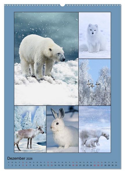Produktbild: Farbsymphonien der Natur (hochwertiger Premium Wandkalender 2026 DIN A2 hoch), Kunstdruck in Hochglanz