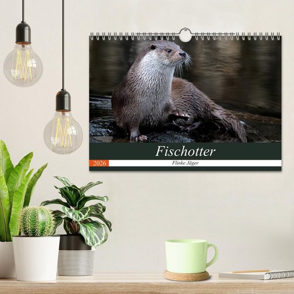 Produktbild: Fischotter, flinke J&auml;ger (Wandkalender 2026 DIN A4 quer), CALVENDO Monatskalender
