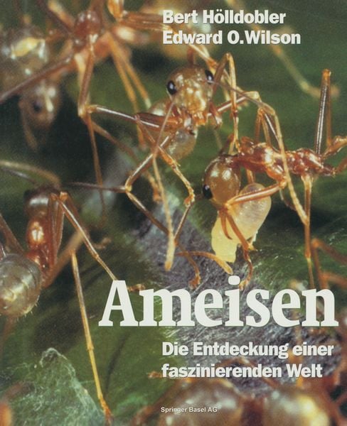 Produktbild: Ameisen