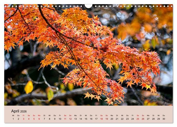 Produktbild: Japan im Herbst (Wandkalender 2026 DIN A3 quer), CALVENDO Monatskalender