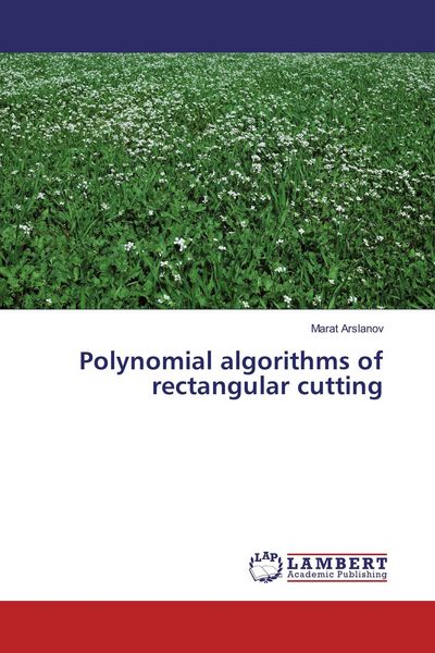 Produktbild: Polynomial algorithms of rectangular cutting