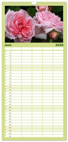 Produktbild: Familienplaner 2026 - Rosen Reigen im Garten mit 5 Spalten (Wandkalender, 21 x 45 cm) CALVENDO