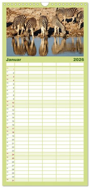 Produktbild: Familienplaner 2026 - Zebras - Faszination der Wildnis mit 5 Spalten (Wandkalender, 21 x 45 cm) CALVENDO