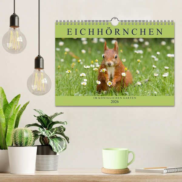 Produktbild: Eichh&ouml;rnchen im K&ouml;niglichen Garten (Wandkalender 2026 DIN A4 quer), CALVENDO Monatskalender