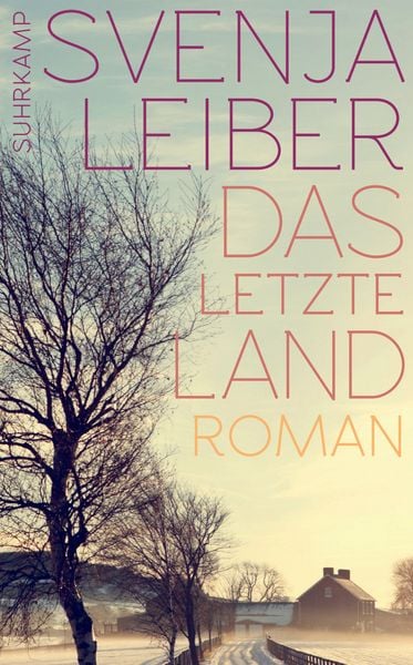 Produktbild: Das letzte Land