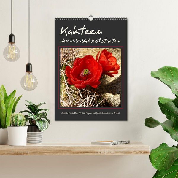 Produktbild: Kakteen der US-S&uuml;dweststaaten (Wandkalender 2026 DIN A3 hoch), CALVENDO Monatskalender