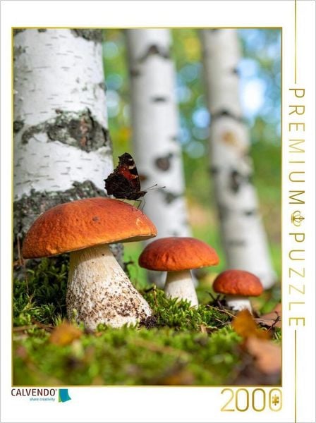 Produktbild: CALVENDO Puzzle Rotkappen Pilze und Schmetterling | 2000 Teile Lege-Gr&ouml;&szlig;e 90x67cm Foto-Puzzle f&uuml;r gl&uuml;ckliche Stunden