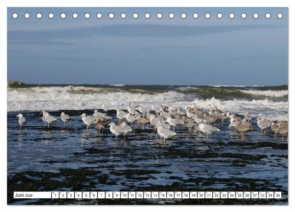 Produktbild: Callantsoog (Tischkalender 2026 DIN A5 quer), CALVENDO Monatskalender