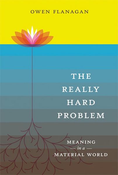 Produktbild: The Really Hard Problem